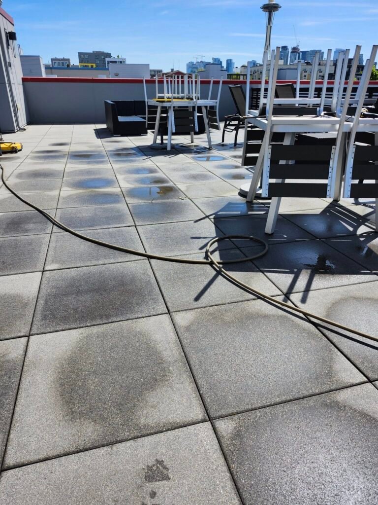 Doing Pressure Washer