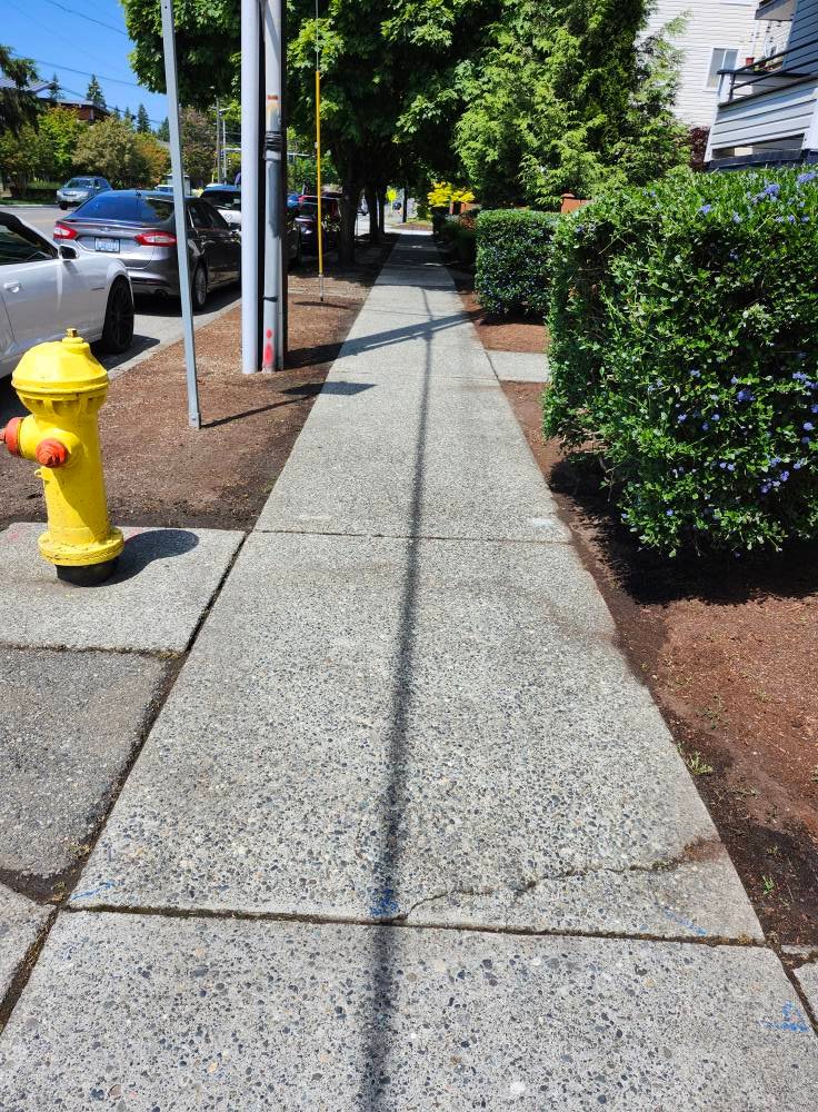 After Pressure Washer