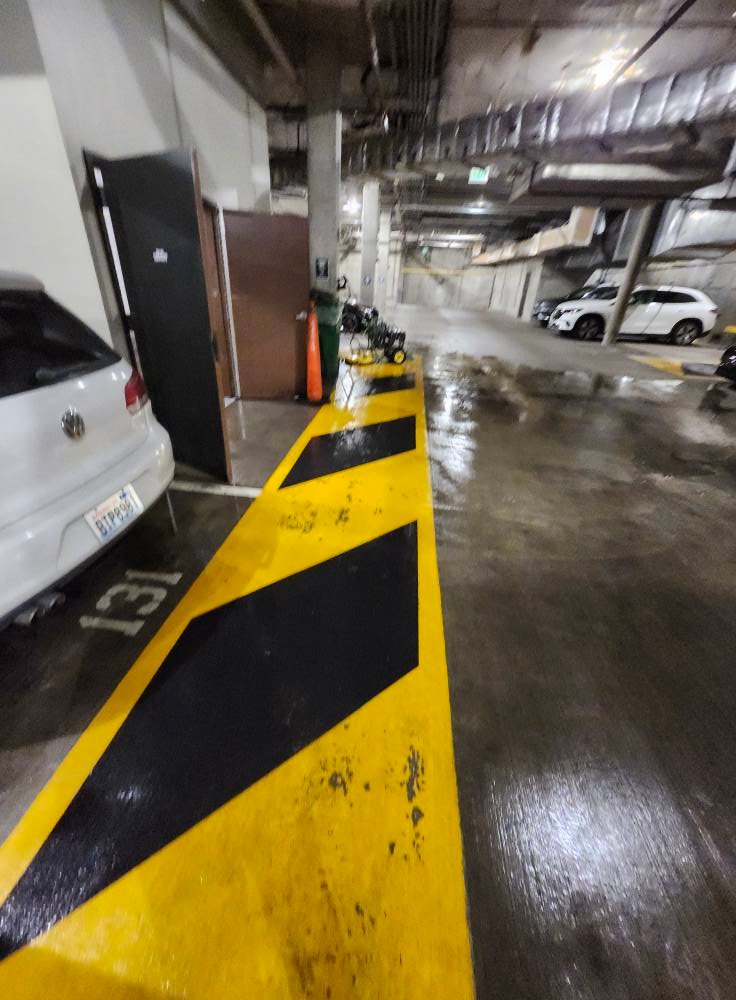 Doing Pressure Washer