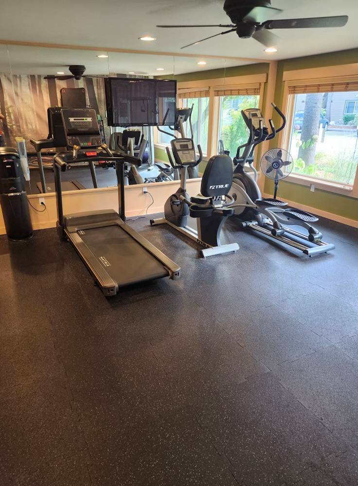 545365902_122160885866685097_6525292421221518689_n